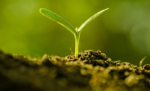 為避免誤導(dǎo)用戶，便攜式土壤水分速測儀使用需注意