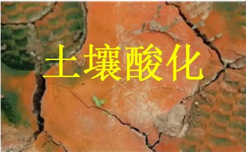 識(shí)別土壤“病”，土壤測(cè)試儀器是如何提高土壤免疫力的？