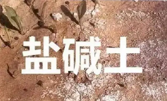 作物為什么生長不健康，用土壤EC計(jì)測測便知