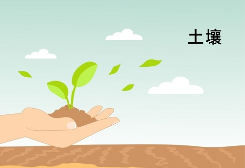 土壤墑情監(jiān)測系統(tǒng)在精細(xì)農(nóng)業(yè)發(fā)展中扮演著什么角色？