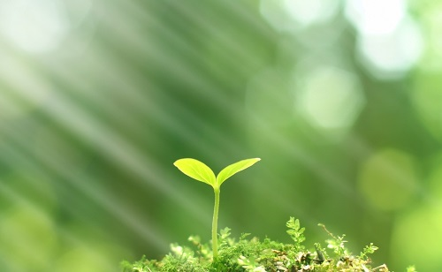 推廣測土配方施肥技術的有哪些好處？