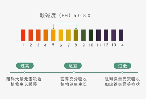 越來越嚴(yán)重的土壤酸化需要應(yīng)用土壤原位pH儀科學(xué)應(yīng)對