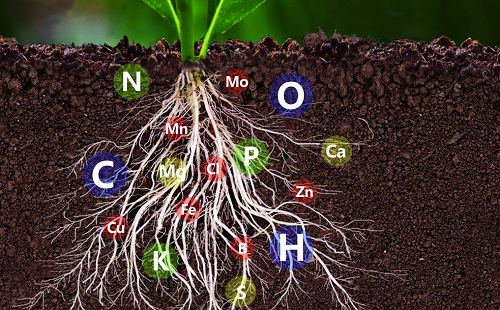 便攜式土壤重金屬分析儀用于治理農(nóng)用土壤（重金屬到底對土地造成怎樣的污染）